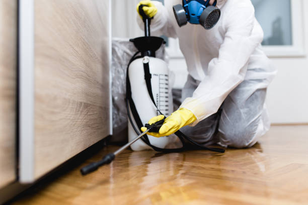 Best Pest Control Treatment  in Wharton, NJ