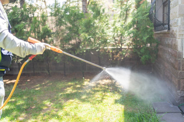 Best Pest Prevention Services  in Wharton, NJ