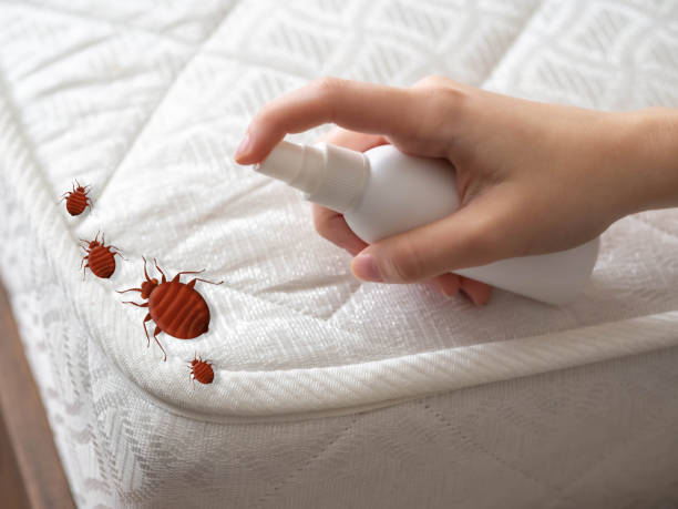 Best Pest Removal Services  in Wharton, NJ